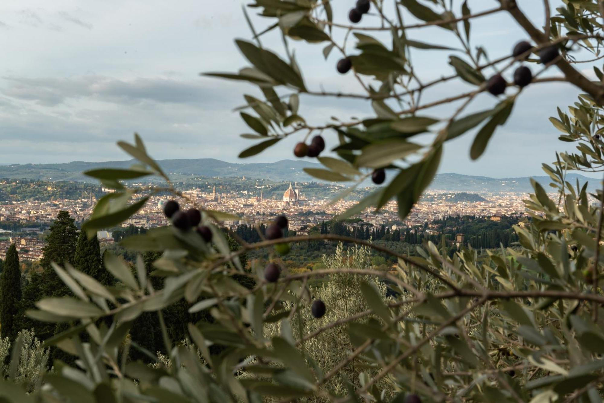 Agriturismo Fattoria Di Maiano ฟีเอโซเล ภายนอก รูปภาพ