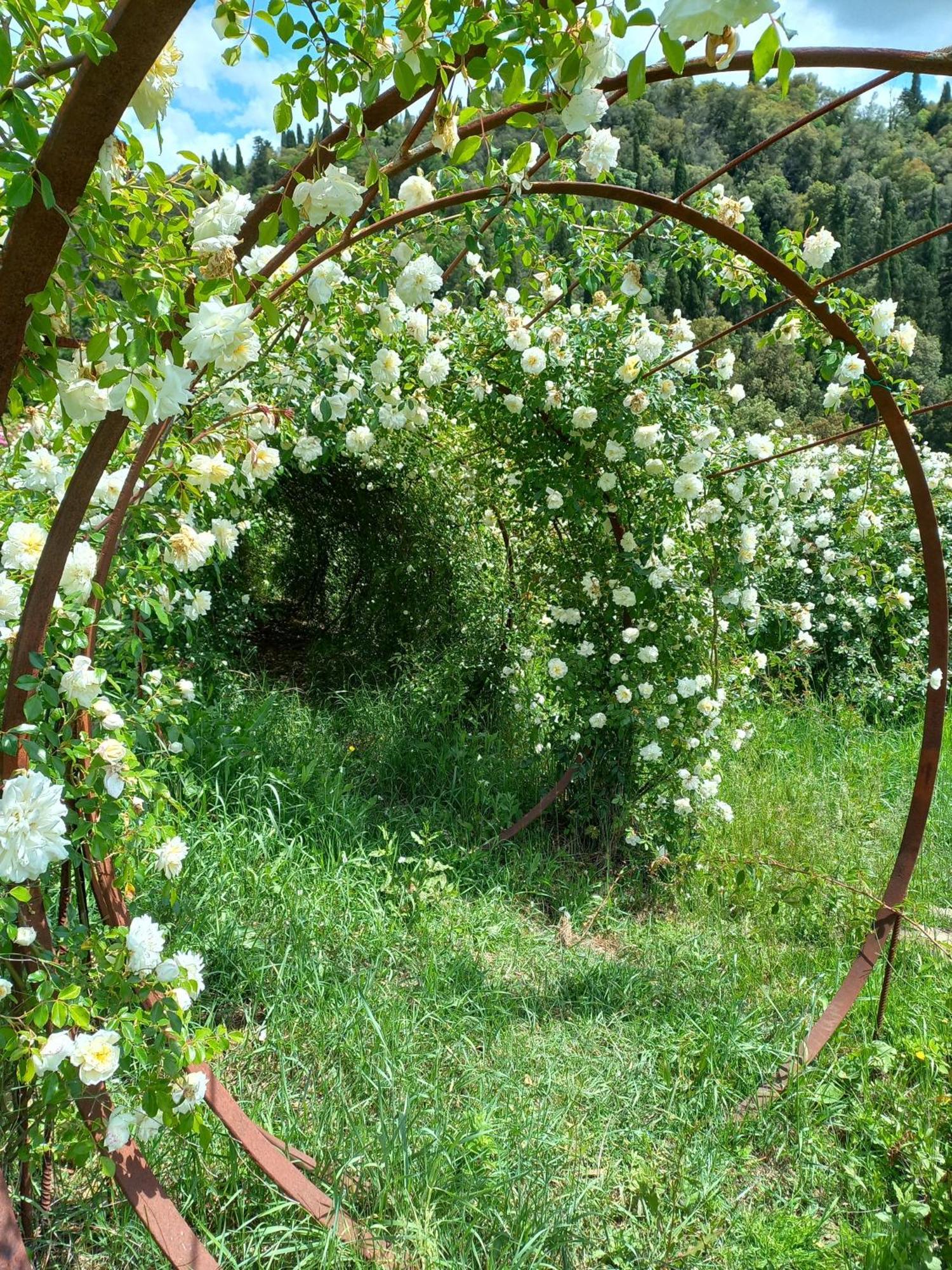 Agriturismo Fattoria Di Maiano ฟีเอโซเล ภายนอก รูปภาพ